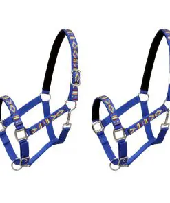 vidaXL Head Collars 2 pcs for Horse Nylon Size Cob Blue