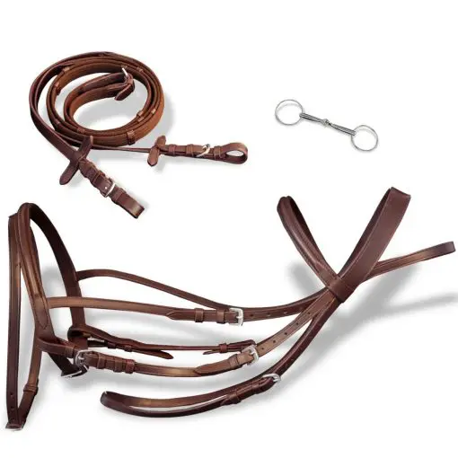 vidaXL Leather Flash Bridle with Reins and Bit Brown Full