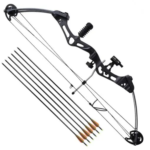 vidaXL Adult Compound Bow with Accessories and Fiberglass Arrows