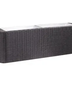 vidaXL Garden Raised Bed 120x24x40 cm Poly Rattan Black